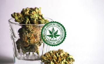 El cannabis y su revelación con la ortopedia